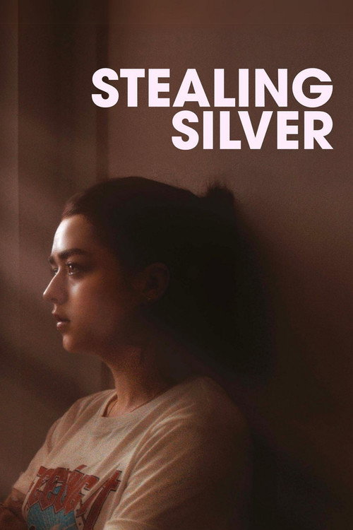 Movie poster for Stealing Silver (2017)