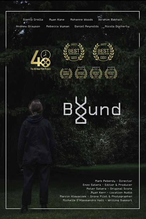 Movie poster for Bound (2022)