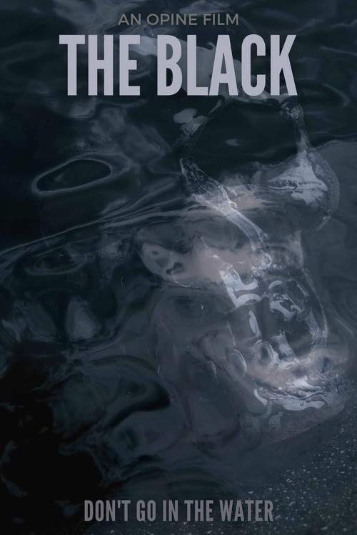 Movie poster for The Black