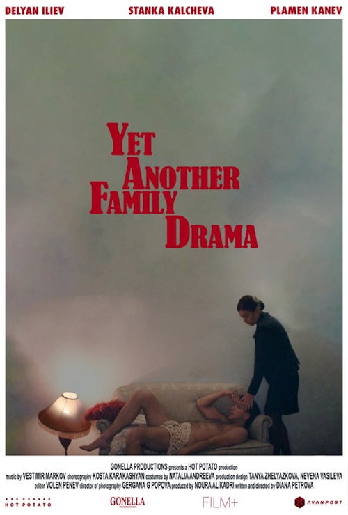 Movie poster for Yet Another Family Drama (2025)