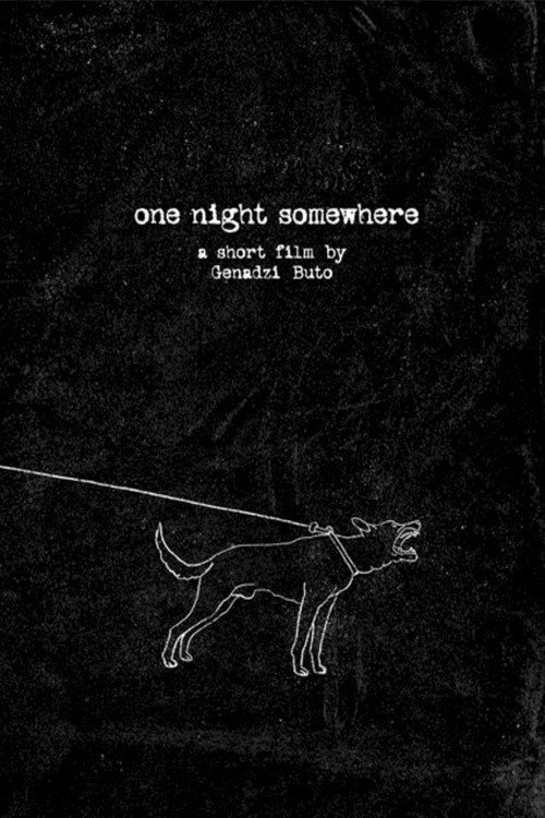 Movie poster for One Night Somewhere (2021)