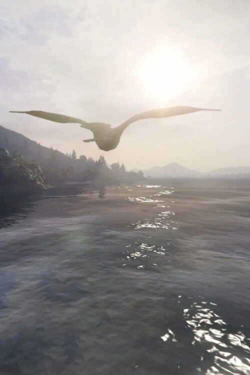 Movie poster for How to Fly (2021)