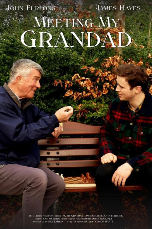 Movie poster for Meeting My Grandad (2025)