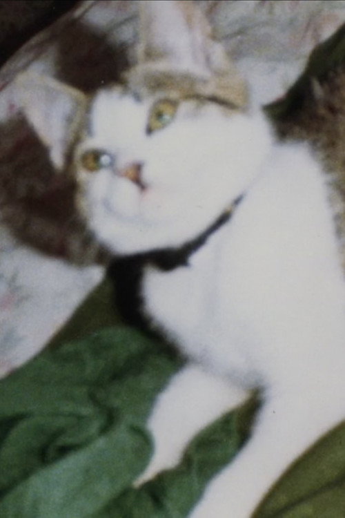 Movie poster for Clem (2018)
