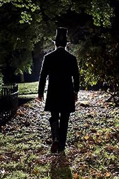 Movie poster for Lincoln in the Bardo (2017)