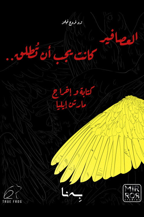 Movie poster for Birds Should Have Been Released (2023)