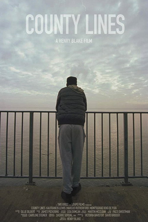 Movie poster for County Lines (2017)