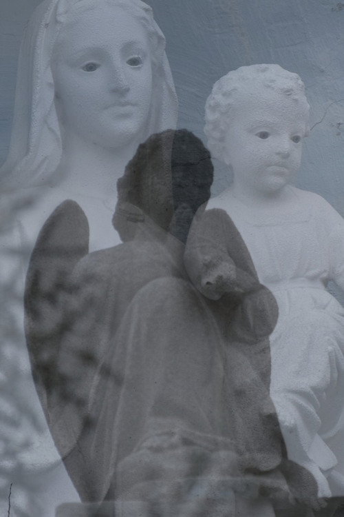 Movie poster for tree baby angel momma (2024)