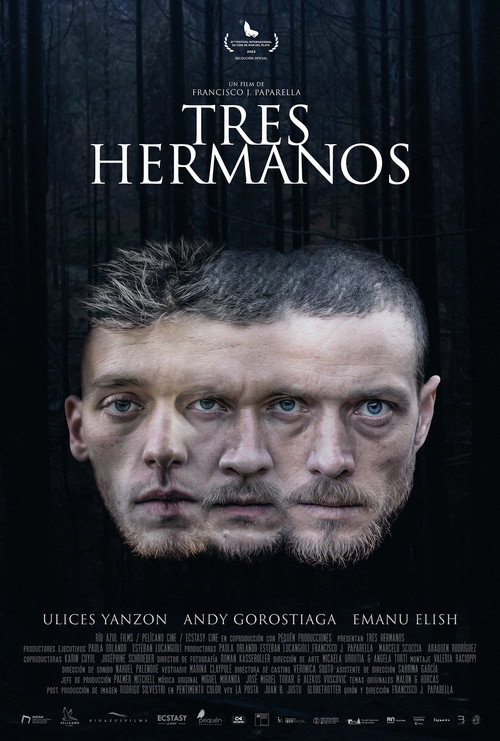 Movie poster for Three Brothers (2024)