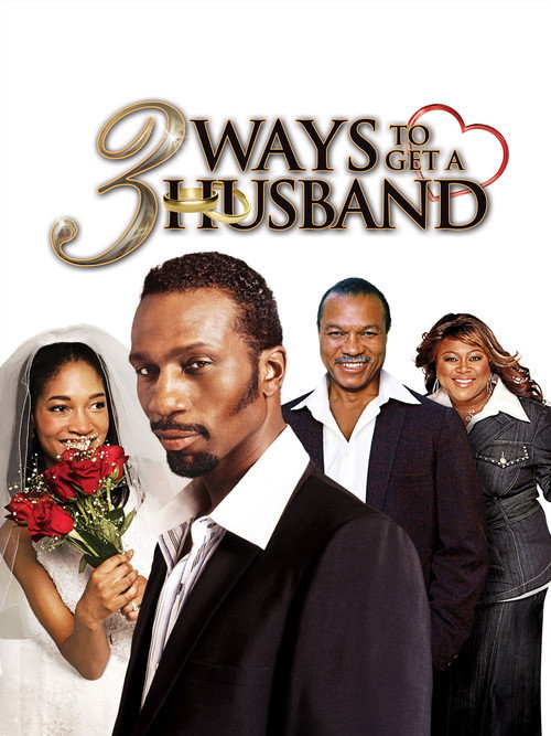 Movie poster for 3 Ways to Get a Husband (2010)