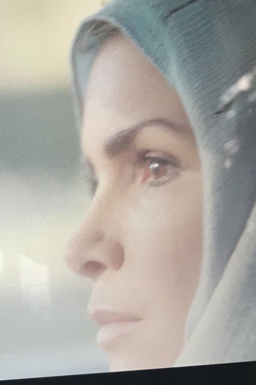 Movie poster for For the Love of Hate (2019)