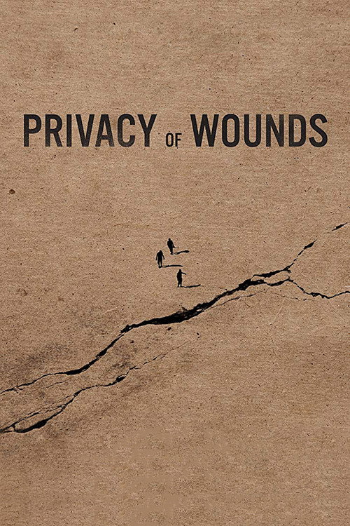 Movie poster for Privacy of Wounds (2018)