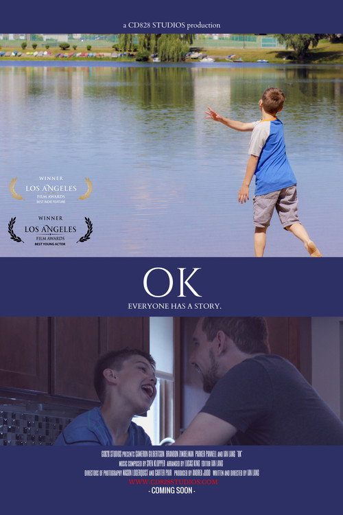 Movie poster for OK (2017)