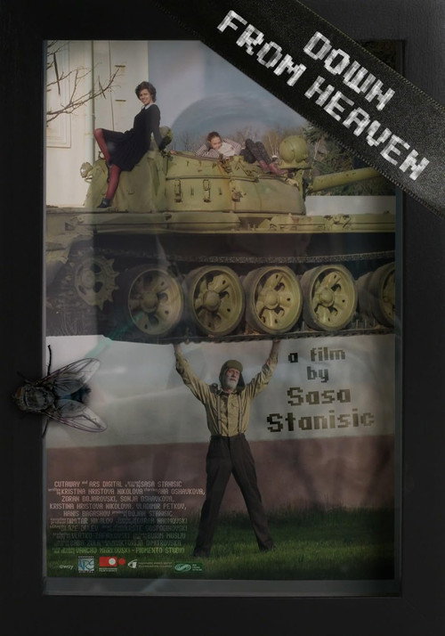 Movie poster for Down from Heaven (2015)