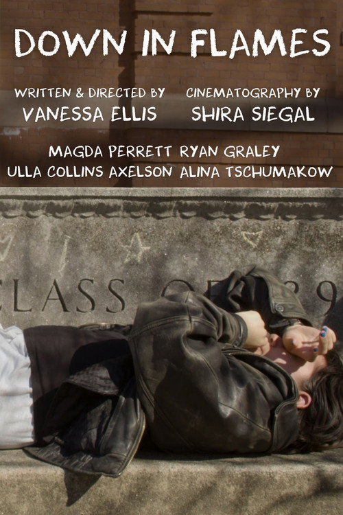 Movie poster for Down in Flames (2024)