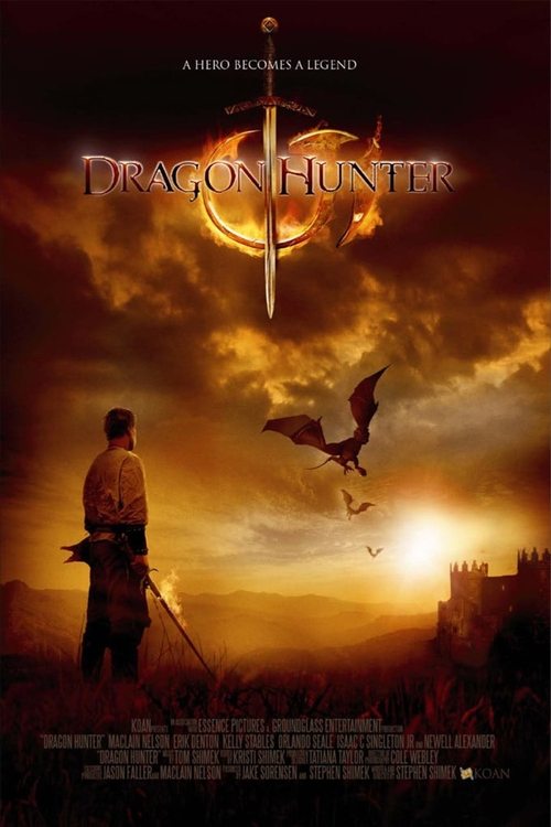Movie poster for Dragon Hunter (2008)
