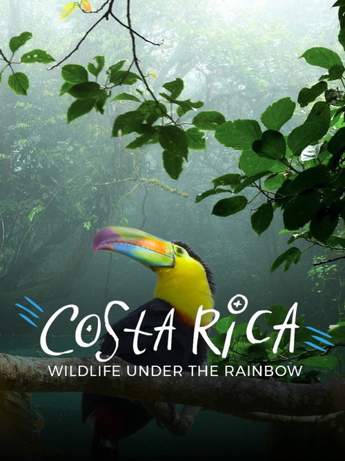 Movie poster for Costa Rica: Wildlife Under The Rainbow (2018)