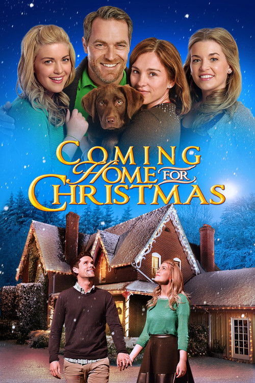 Movie poster for Coming Home for Christmas (2013)