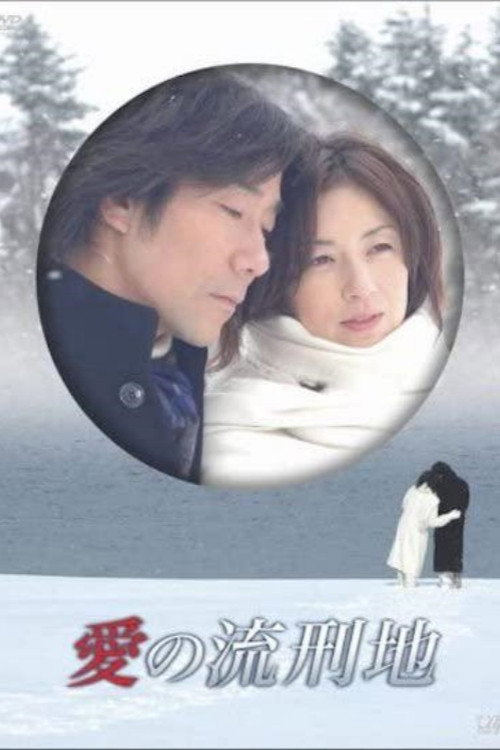 愛の流刑地 poster