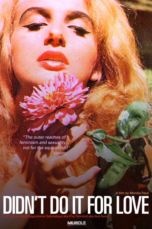 Movie poster for Didn't Do It For Love (1998)