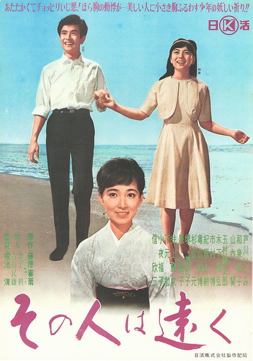 Movie poster for Distant Love (1963)