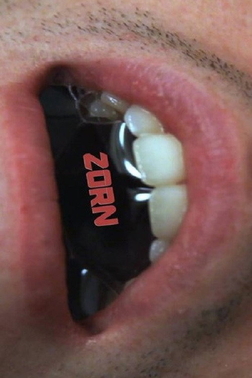 Movie poster for Zorn (2015)