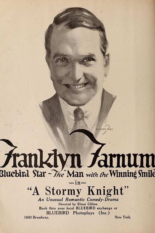 Movie poster for A Stormy Knight (1917)