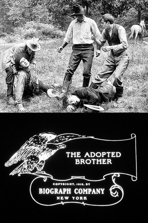 Movie poster for The Adopted Brother (1913)