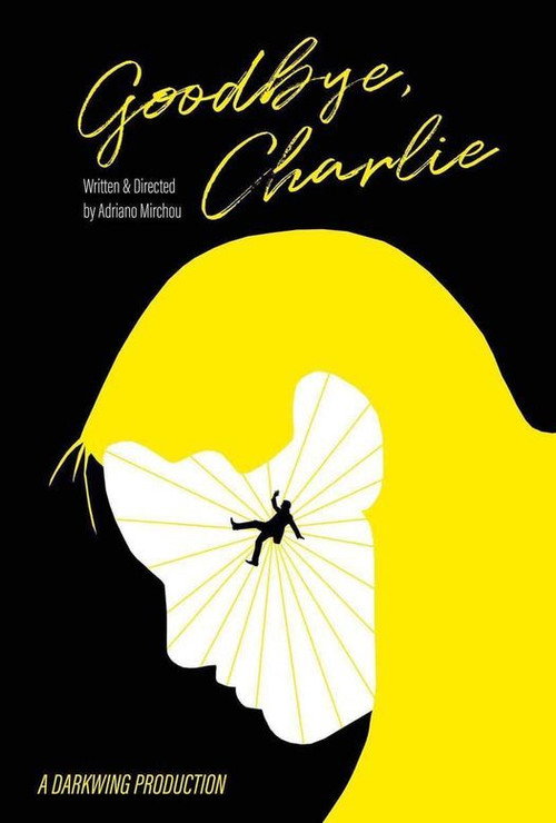 Movie poster for Goodbye, Charlie (2022)