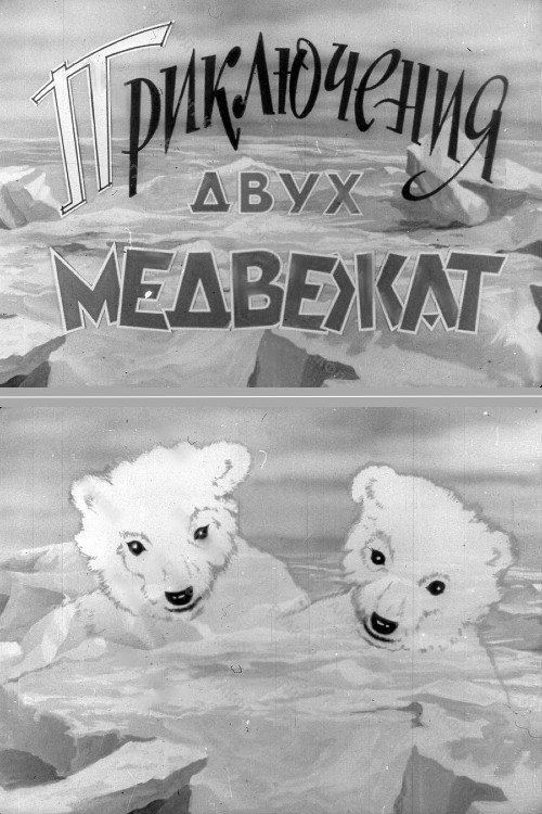 Movie poster for Adventures of Two Bear Cubs (1959)