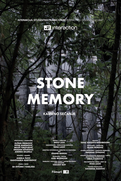 Movie poster for Stone Memory (2025)