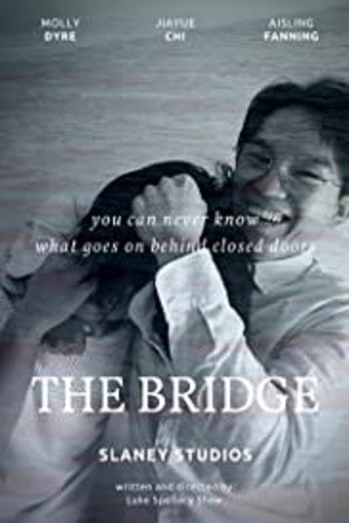 Movie poster for The Bridge (2021)