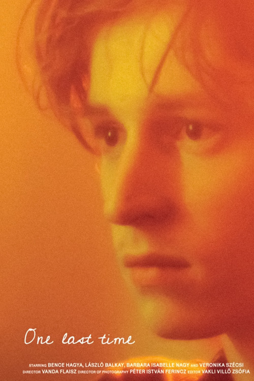 Movie poster for One last time