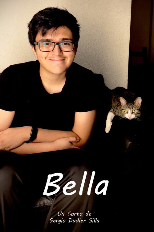 Movie poster for Bella