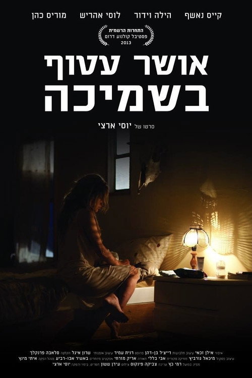 Movie poster for Happiness Wrapped in a Blanket (2014)