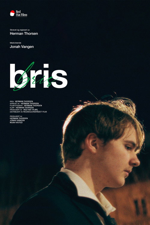 Movie poster for Breeze (2024)