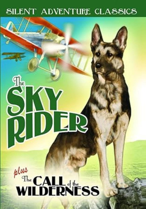 Movie poster for The Sky Rider (1928)