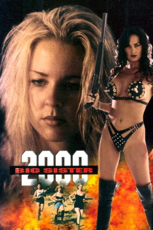Movie poster for Big Sister 2000 (1995)