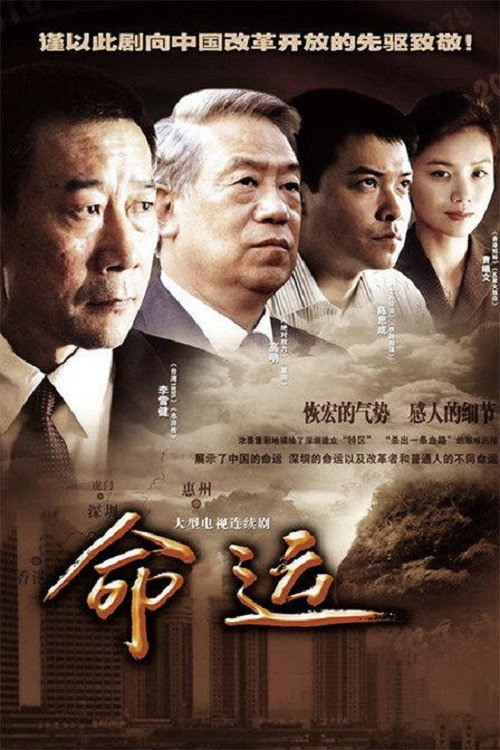 Series poster for 命运 (2010)