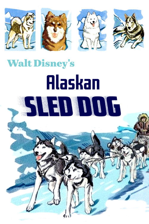 Movie poster for Alaskan Sled Dog (1957)