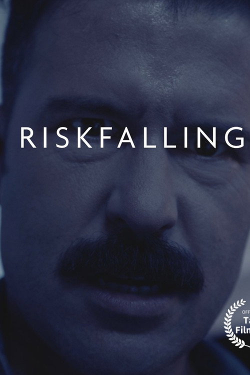 Movie poster for Riskfalling