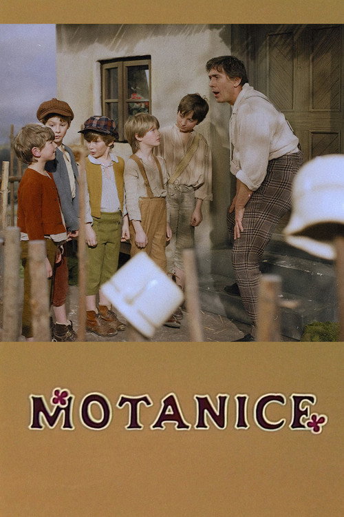 Movie poster for Motanice (1988)