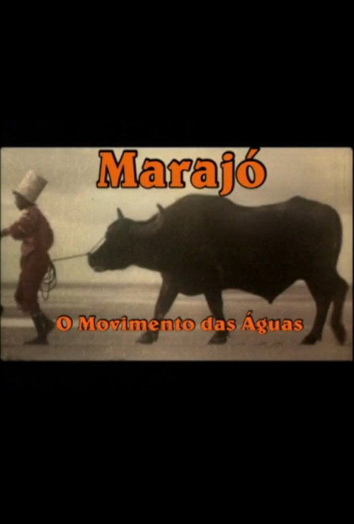 Movie poster for Marajó: A Origem das Águas (2010)