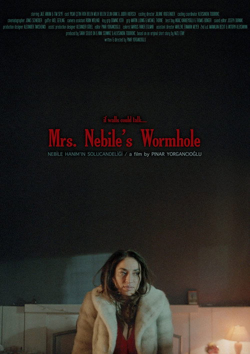 Movie poster for Nebile Hanım'ın Solucan Deliği (2016)
