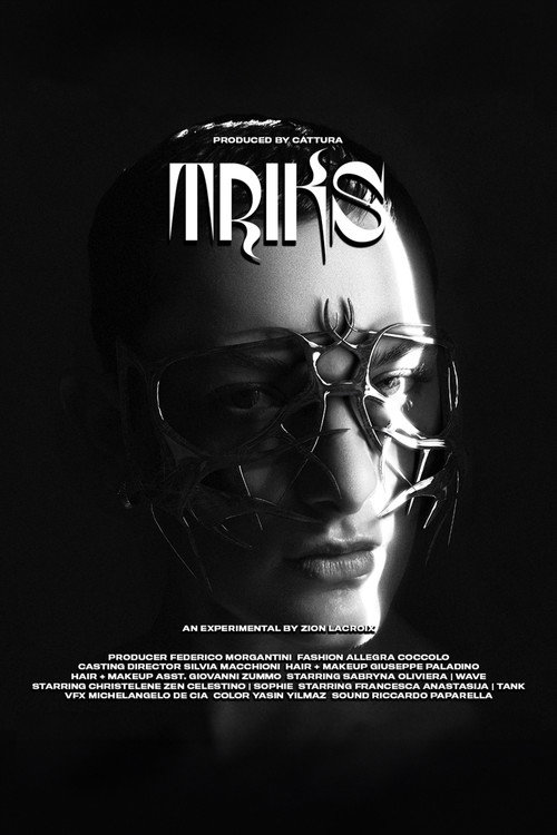 Movie poster for Triks