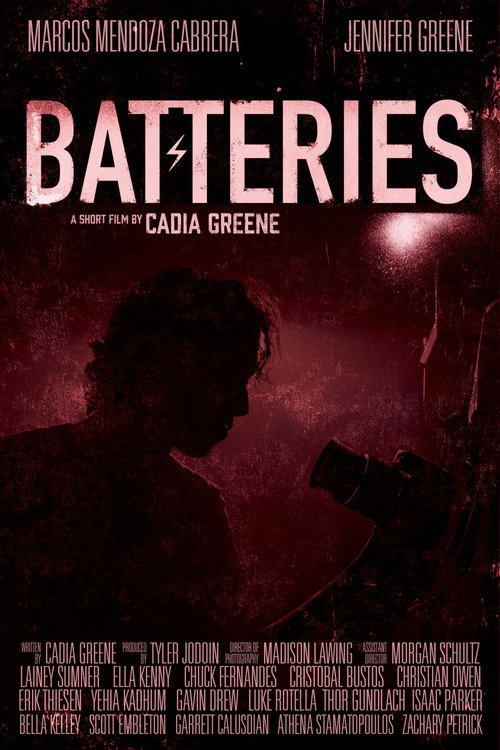 Movie poster for Batteries