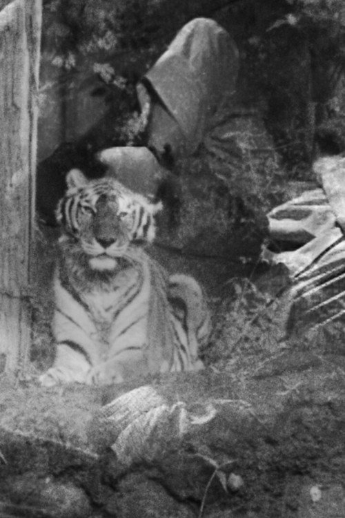 Movie poster for The Horrible Thirty: Me, My Father and Richard the Tiger (2018)
