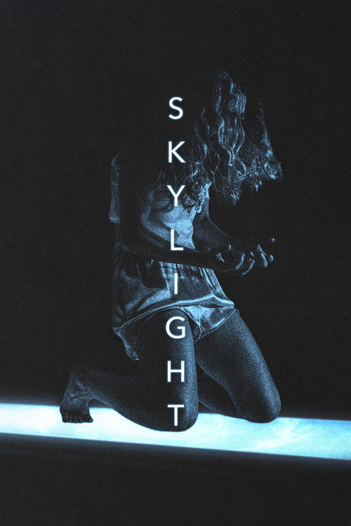 Movie poster for Skylight