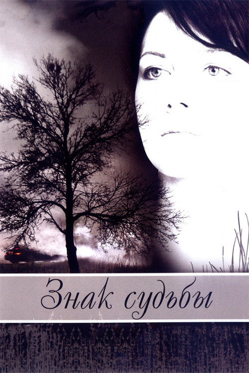 Movie poster for The Signpost to Destiny (2007)