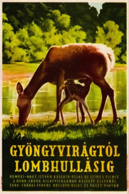 Movie poster for From Blossom Time to Autumn Frost (1953)